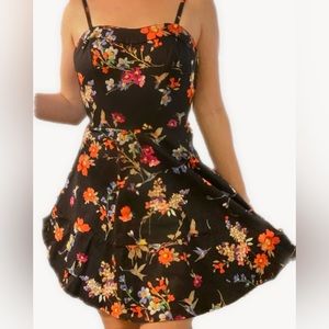 Express Fit & Flare Floral Hummingbird Dress